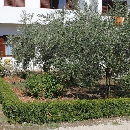 With A Parking Space - 8403 * Ugljan