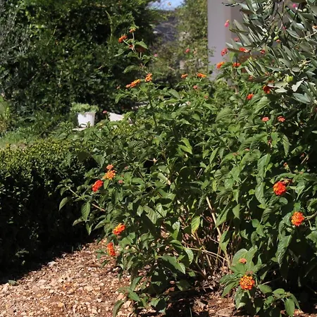 With A Parking Space - 8403 Apartment *